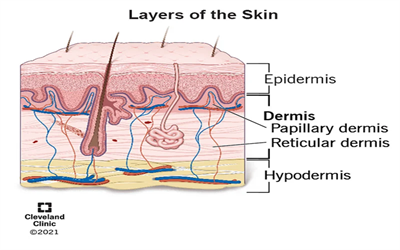 Which Machine Can Help Tighten Your Loose Skin? Discover the Secret to Youthful Skin!